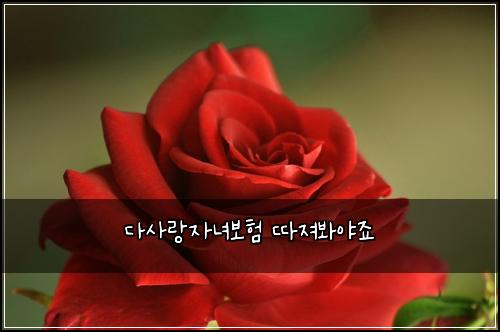 다사랑자녀보험 따져봐야죠 