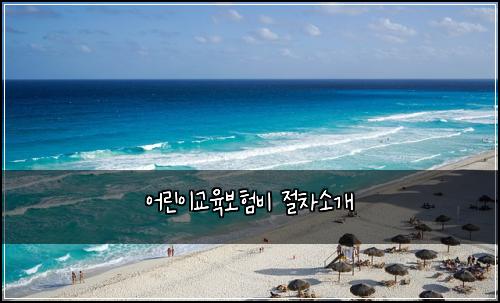 어린이교육보험비 절차소개
