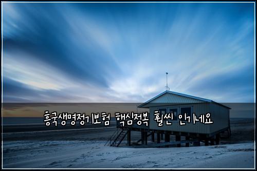 흥국생명정기보험 핵심정복  훨씬 인기네요