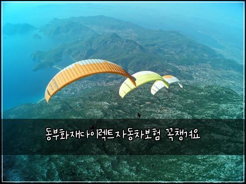 동부화재다이렉트자동차보험 꼭챙겨요 