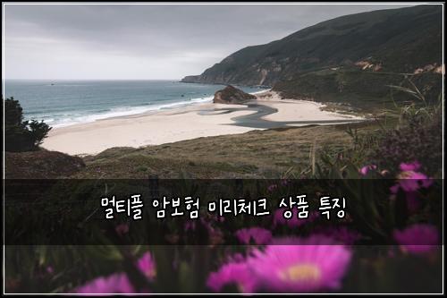 멀티플 암보험 미리체크  상품 특징