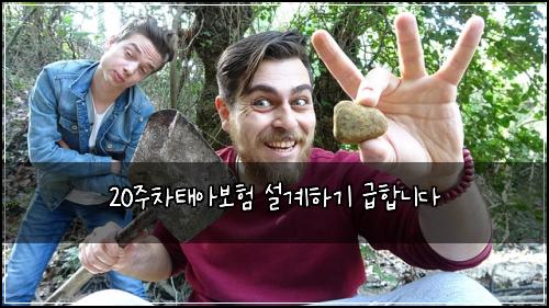 20주차태아보험 설계하기  급합니다