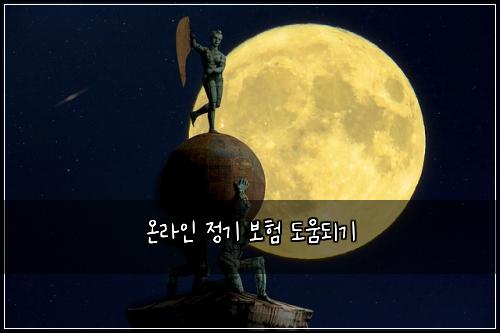 온라인 정기 보험 도움되기 