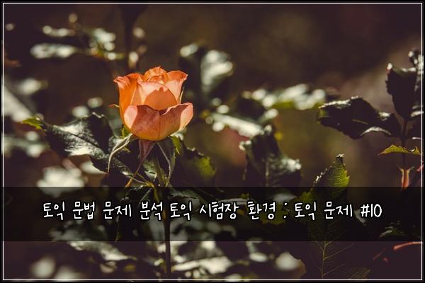토익 문법 문제 분석 토익 시험장 환경 : 토익 문제 #10
