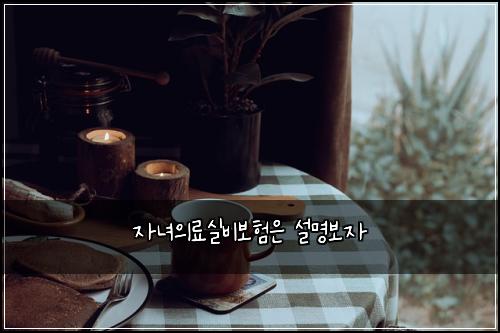์๋
์๋ฃ์ค๋น๋ณดํ์ ์ค๋ช
๋ณด์