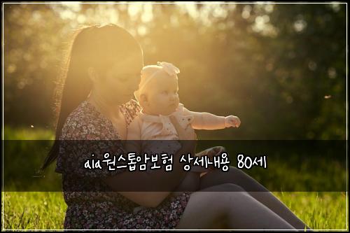 aia원스톱암보험 상세내용  80세