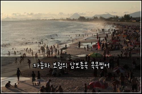 ์๋์ฐจ ๋ณดํ์ ๋ด๋ณด์ข
๋ชฉ ์ฝ์ฝ์ฐ์ด