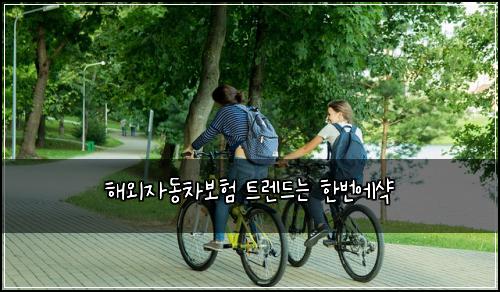 ํด์ธ์๋์ฐจ๋ณดํ ํธ๋ ๋๋ ํ๋ฒ์์ฅ