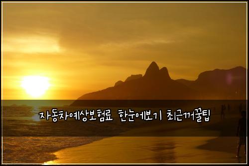 자동차예상보험료 한눈에보기 최근꺼꿀팁