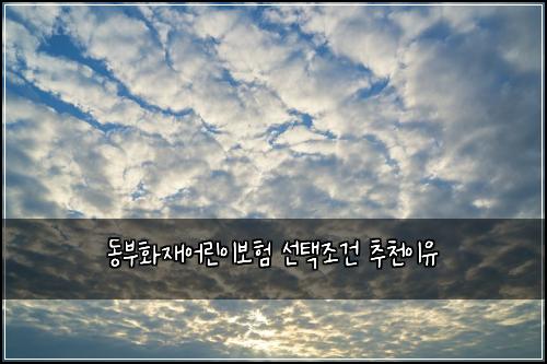 ๋๋ถํ์ฌ์ด๋ฆฐ์ด๋ณดํ ์ ํ์กฐ๊ฑด ์ถ์ฒ์ด์