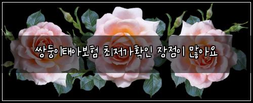 쌍둥이태아보험 최저가확인 장점이 많아요