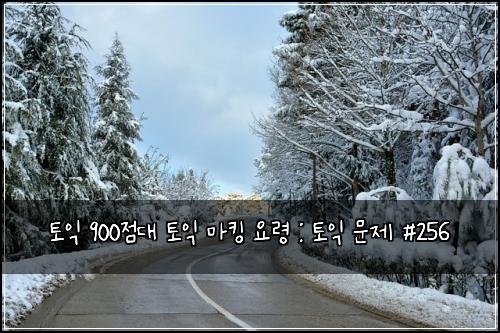 토익 900점대 토익 마킹 요령 : 토익 문제 #256