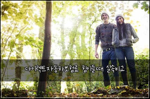 ๋ค์ด๋ ํธ์๋์ฐจ๋ณดํ๋ฃ ํ์ด๋ค๋ ์ค์๋น๊ต