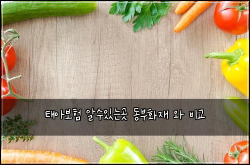 태아보험 알수있는곳  동부화재 와 비교