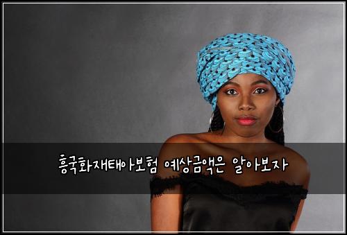흥국화재태아보험 예상금액은  알아보자