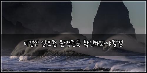 ๋น๊ฐฑ์ ์๋ณดํ ์๋ฒฝํ๊ณณ ํ์ธํด๋ด์ผํ ์ 