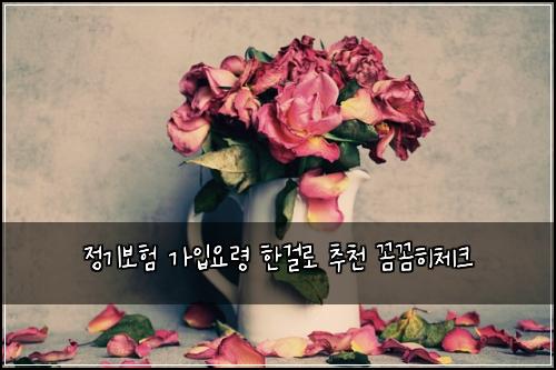정기보험 가입요령  한걸로 추천 꼼꼼히체크