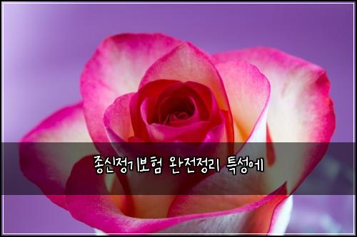 종신정기보험 완전정리  특성에