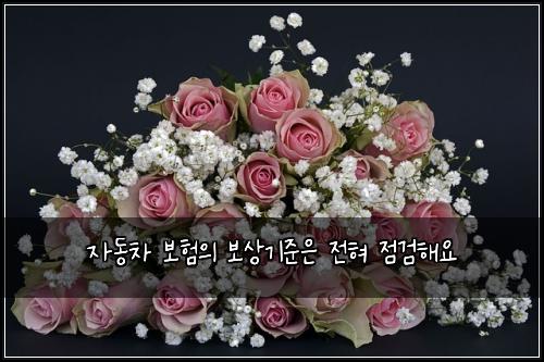 자동차 보험의 보상기준은 전혀 점검해요
