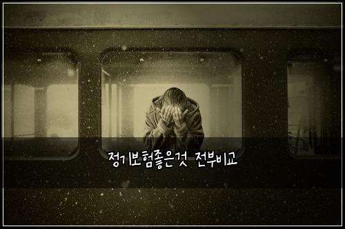 정기보험좋은것 전부비교
