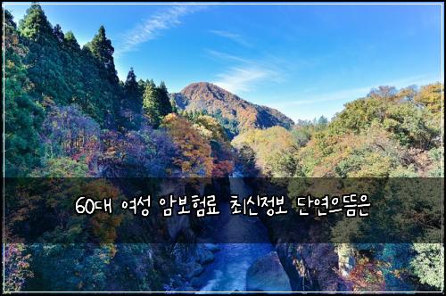 60대 여성 암보험료 최신정보 단연으뜸은