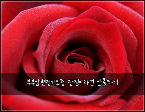 ๋ถ๋ถ๋จํธ์ ๊ธฐ๋ณดํ ์ฅ์ ์ด๋ผ๋ฉด ์ฐ์ถํ๊ธฐ