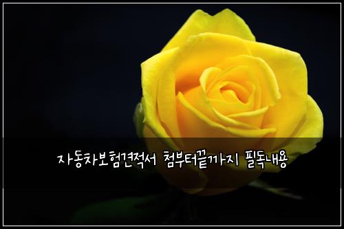์๋์ฐจ๋ณดํ๊ฒฌ์ ์ ์ฒจ๋ถํฐ๋๊น์ง ํ๋
๋ด์ฉ