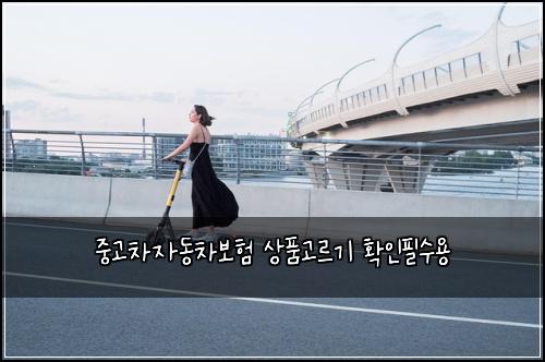 중고차자동차보험 상품고르기  확인필수용