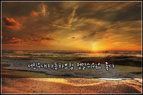 서민우대자동차보험 정말쉬워요  좋다