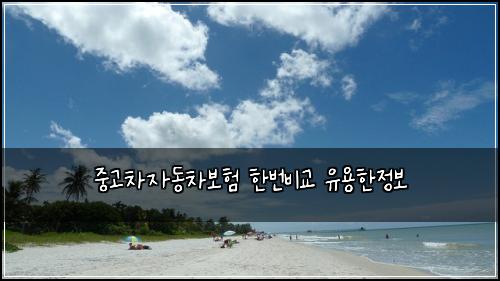 ์ค๊ณ ์ฐจ์๋์ฐจ๋ณดํ ํ๋ฒ๋น๊ต ์ ์ฉํ์ ๋ณด