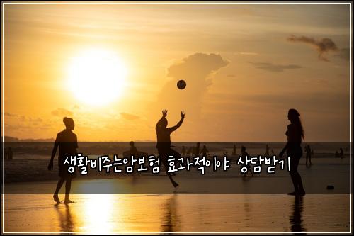 ์ํ๋น์ฃผ๋์๋ณดํ ํจ๊ณผ์ ์ด์ผ ์๋ด๋ฐ๊ธฐ