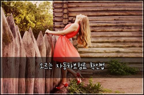 ์ค๋ฅด๋ ์๋์ฐจ๋ณดํ๋ฃ ํ์ธ๋ฒ