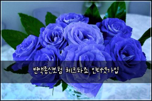 변액종신보험 체크하죠  인터넷가입