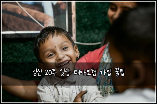 임신 20주 일상 태아보험 가입 꿀팁