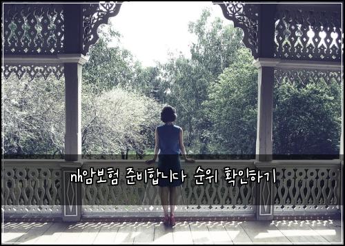 nh암보험 준비합니다  순위 확인하기