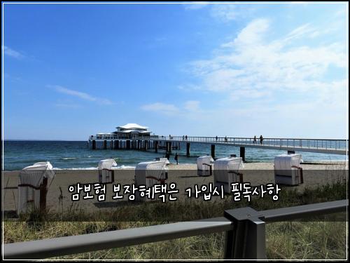 암보험 보장혜택은  가입시 필독사항
