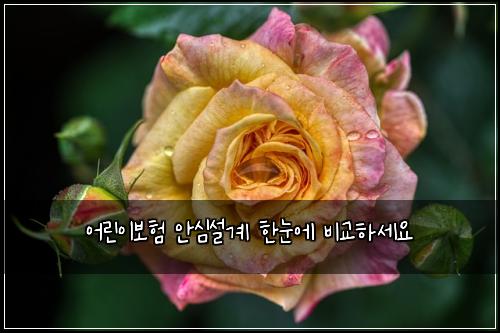 ์ด๋ฆฐ์ด๋ณดํ ์์ฌ์ค๊ณ ํ๋์ ๋น๊ตํ์ธ์