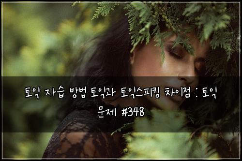 토익 자습 방법 토익과 토익스피킹 차이점 : 토익 문제 #348