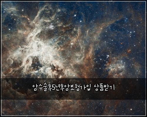 μμμ ν5λ
νμ보νκ°μ
μνλ°κΈ°