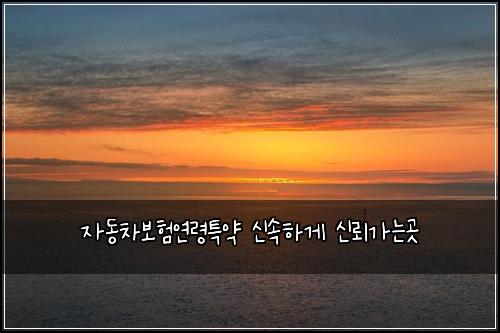 자동차보험연령특약 신속하게 신뢰가는곳