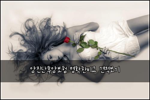 암진단후암보험 명확한비교  견적보기