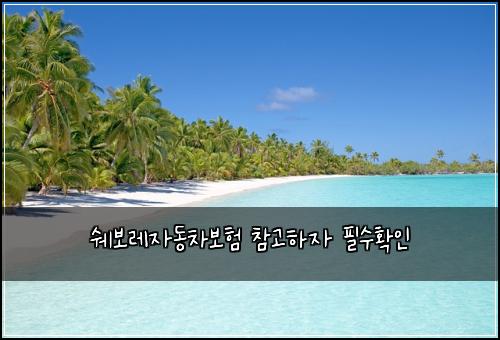์๋ณด๋ ์๋์ฐจ๋ณดํ ์ฐธ๊ณ ํ์ ํ์ํ์ธ