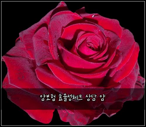 ์๋ณดํ ํจ์จ์ฑ์ฒดํฌ ์๋ด ์