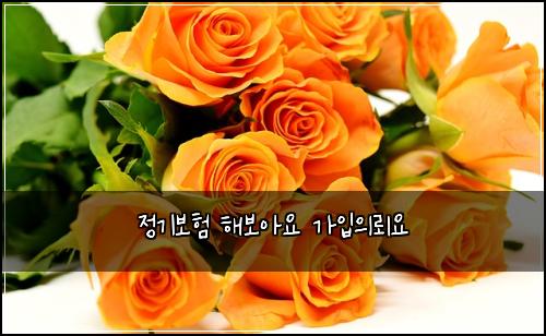 정기보험 해보아요  가입의뢰요