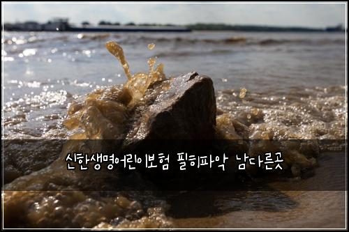 ์ ํ์๋ช
์ด๋ฆฐ์ด๋ณดํ ํํํ์
๋จ๋ค๋ฅธ๊ณณ
