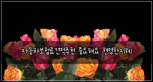 μλ차보νλ£κ²¬μ μΆμ² μ€μν΄μ νλͺ
νμ§ν