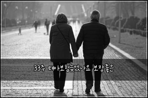 33주 태아보험늦었나요 보장좋은