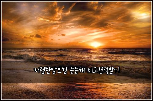 ์ ๋ ดํ์๋ณดํ ๋ ๋ ํด ๋น๊ต๊ฒฌ์ ๋ฐ๊ธฐ