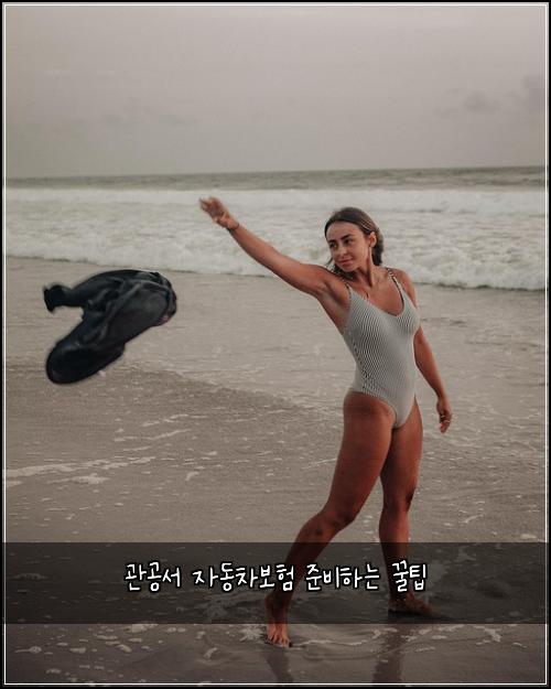 관공서 자동차보험 준비하는 꿀팁