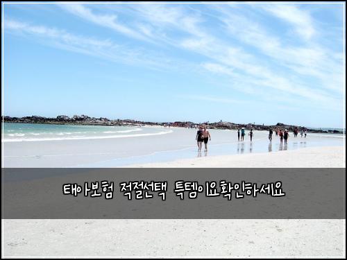 태아보험 적절선택  특템이요확인하세요